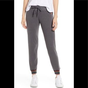 NWOT Aviator Nation Prism Sweatpants